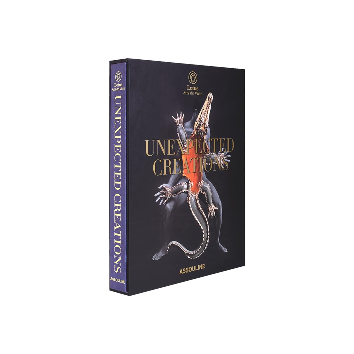 Coffee Table Book - Unexpected Creations