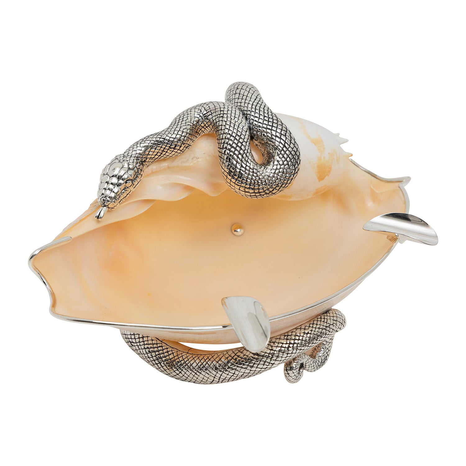 Hissing and Swirling Silver Snake Conch Shell Ashtray