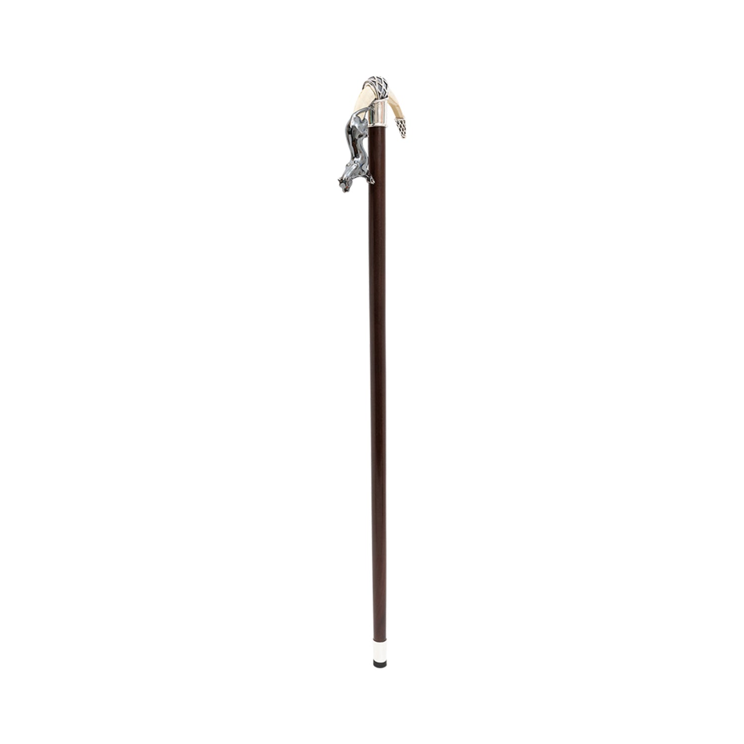 Leaping Jaguar Cane