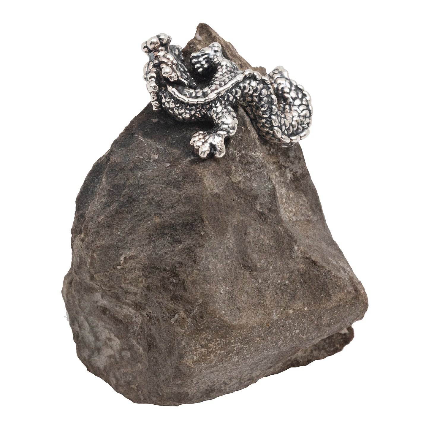 Spiritual Guangxi Stone with Silver Dragon