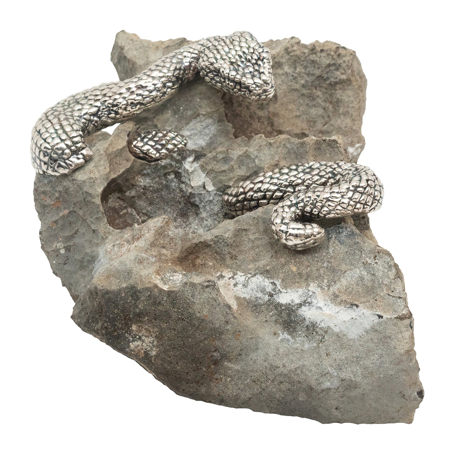 Spiritual Guangxi Stone with Silver Snake