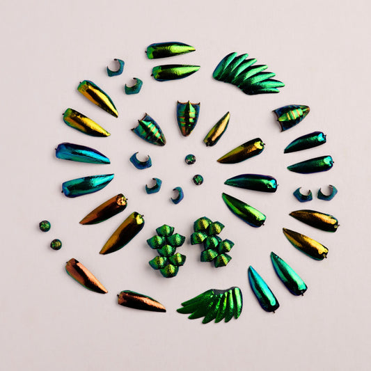 The Scarab's Secret: Nature’s Jewel of Rebirth and Renewal