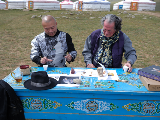 THE MONGOLIAN INSPIRATION