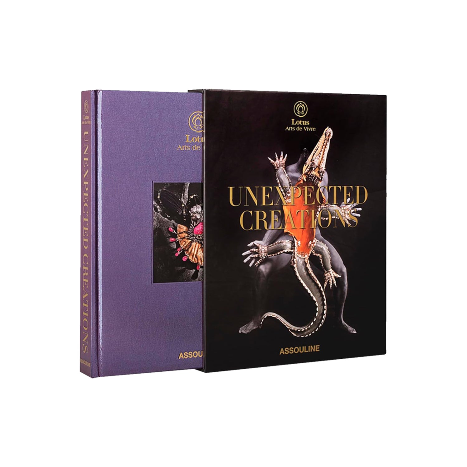 Coffee Table Book - Unexpected Creations