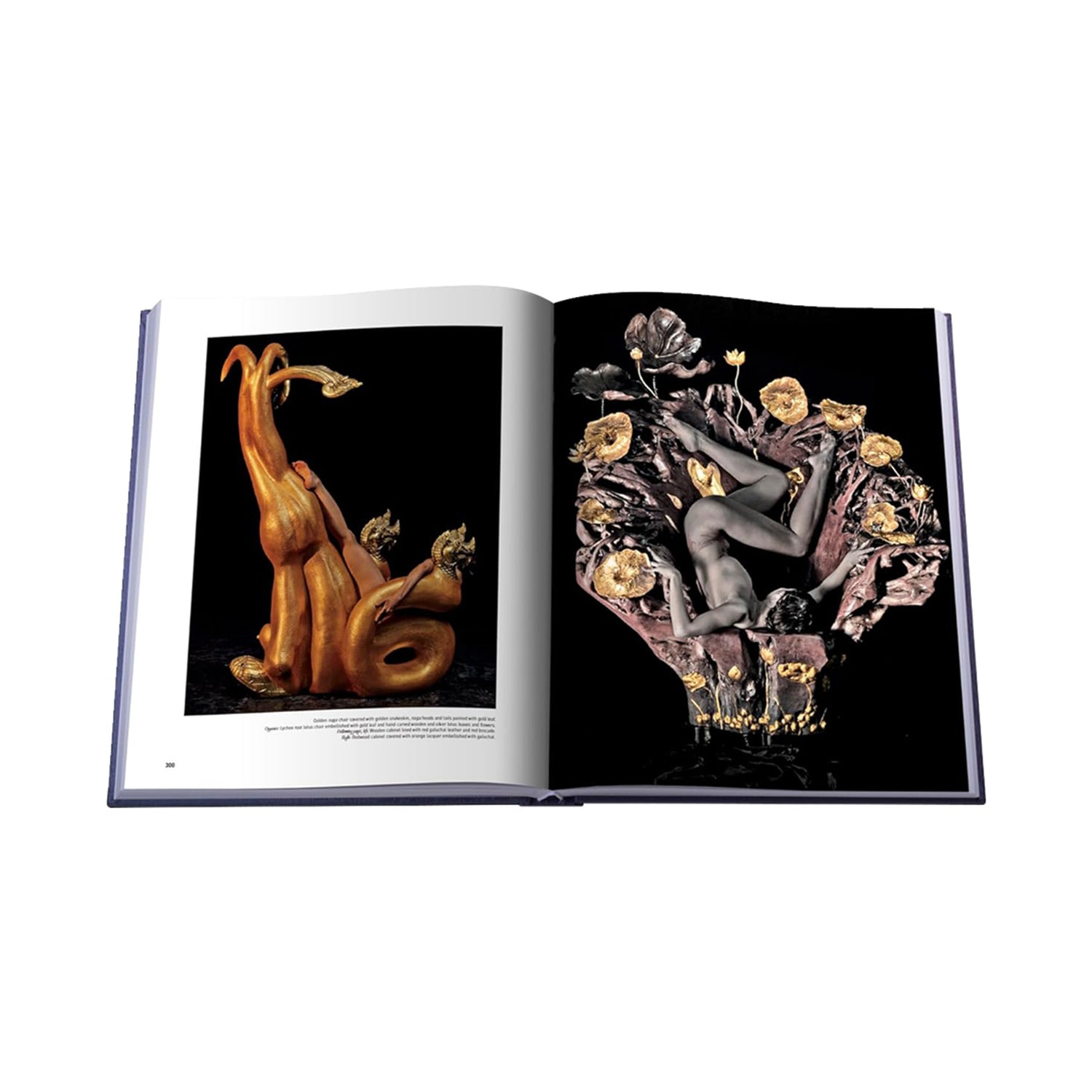 Coffee Table Book - Unexpected Creations