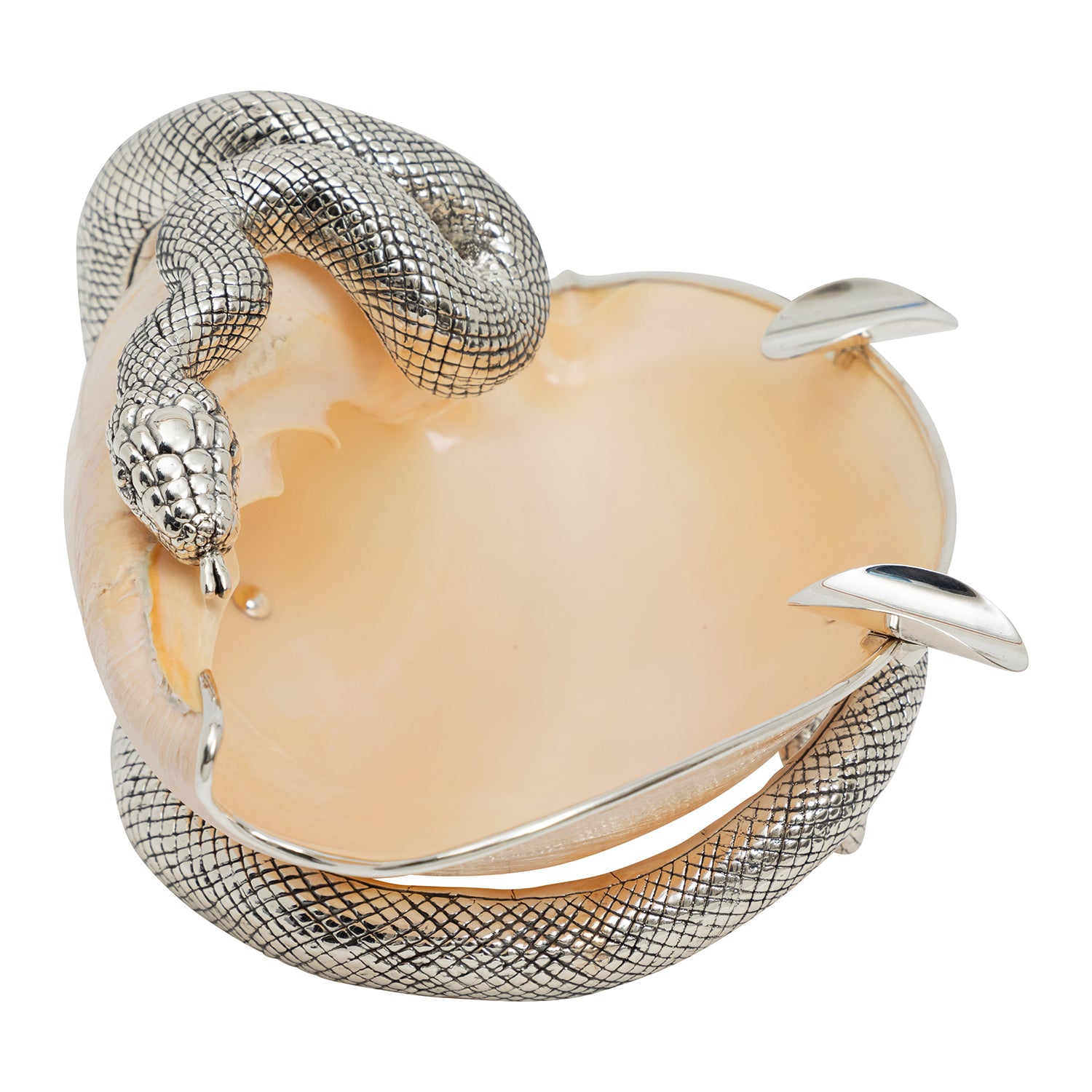 Hissing and Swirling Silver Snake Conch Shell Ashtray