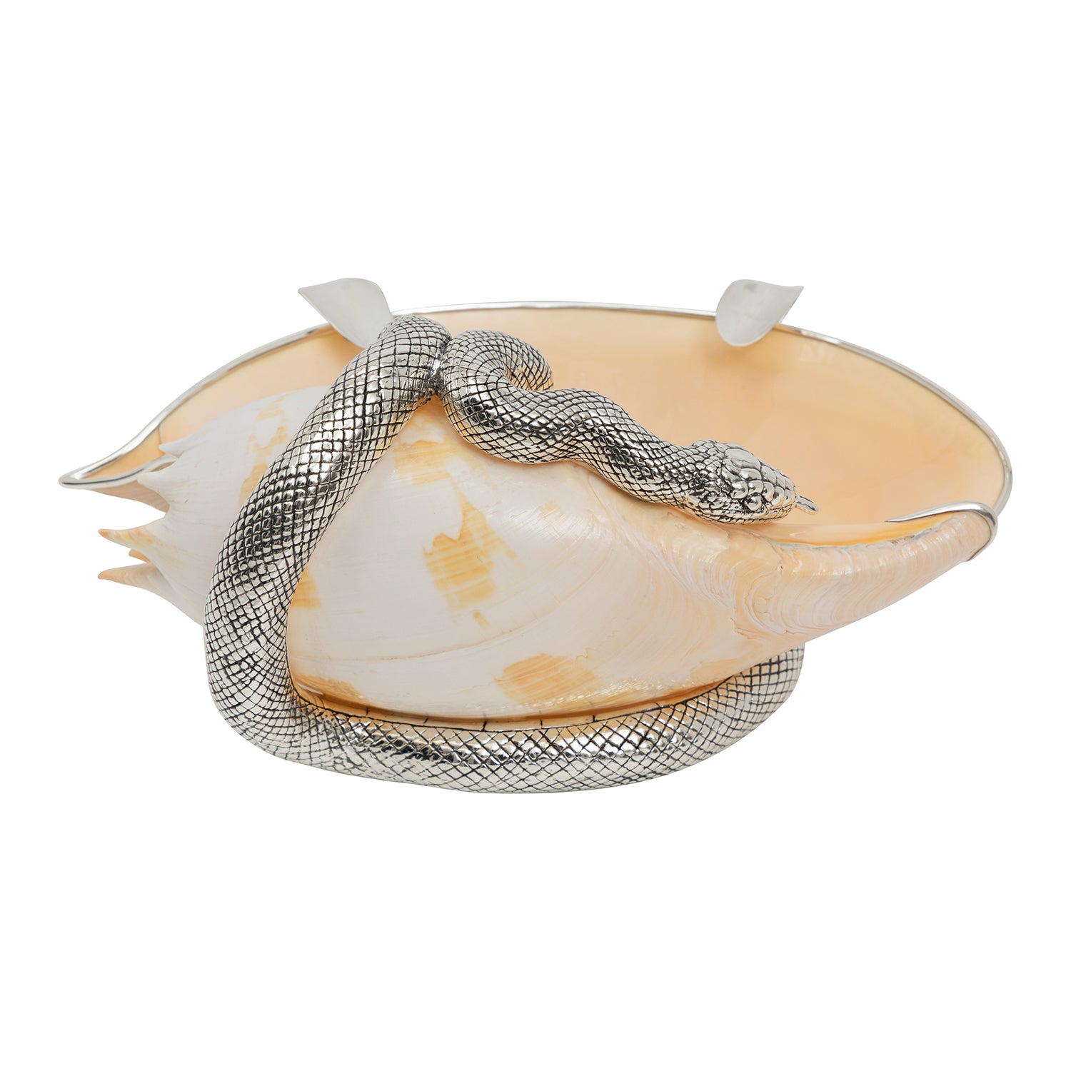 Hissing and Swirling Silver Snake Conch Shell Ashtray