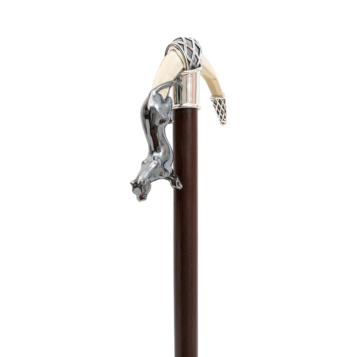 Leaping Jaguar Cane