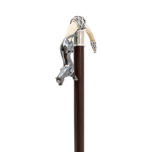 Leaping Jaguar Cane
