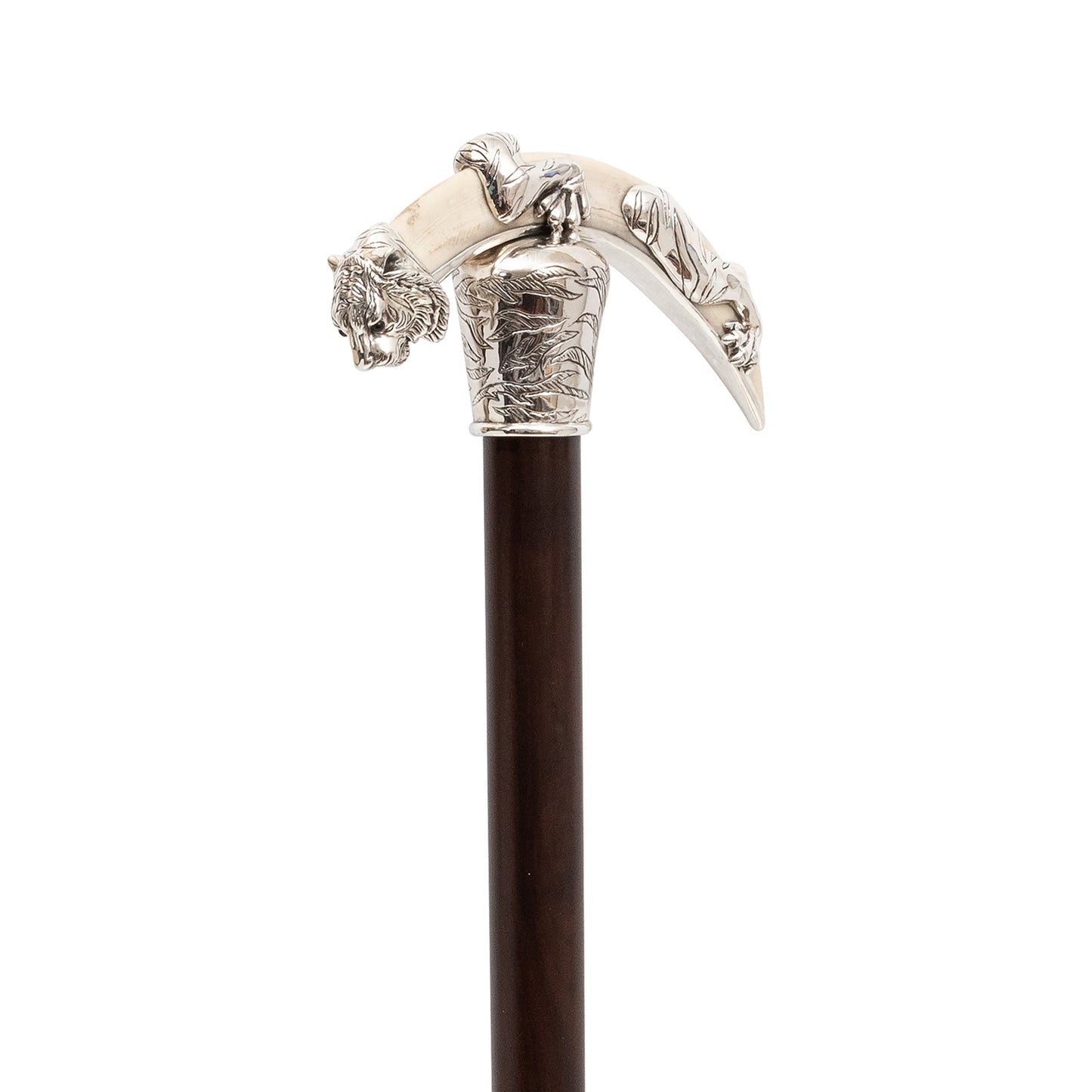 Crouching Tiger Cane