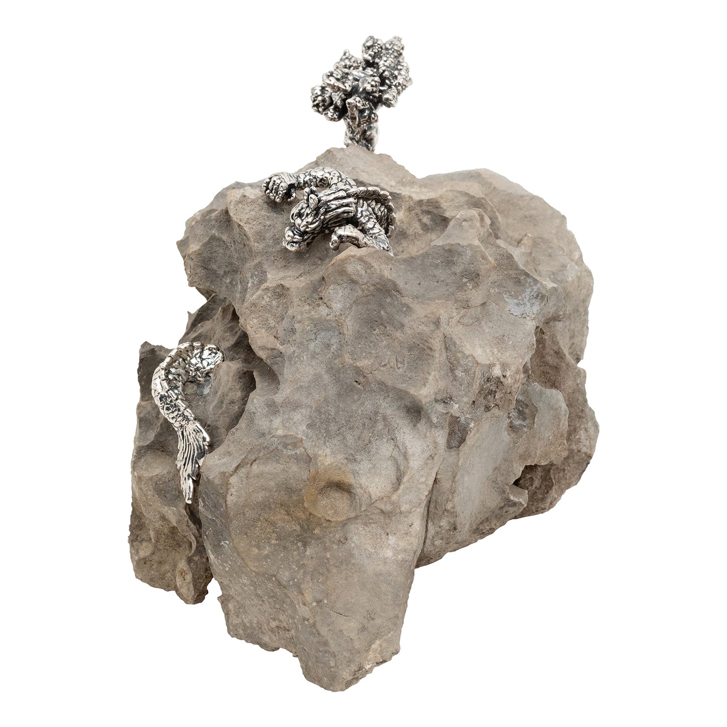 Spiritual Guangxi Stone with Silver Dragon and Bonsai