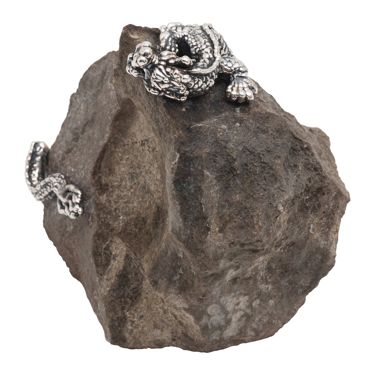 Spiritual Guangxi Stone with Silver Dragon