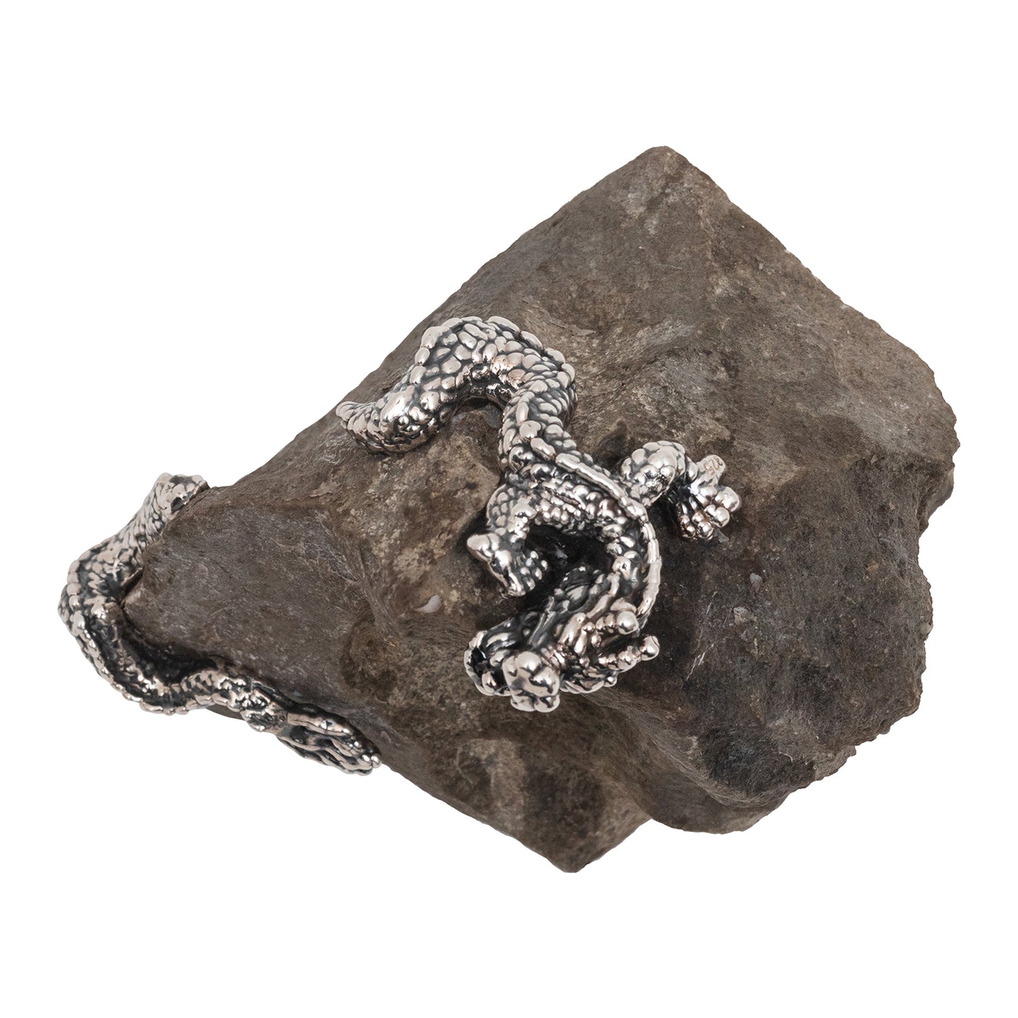 Spiritual Guangxi Stone with Silver Dragon