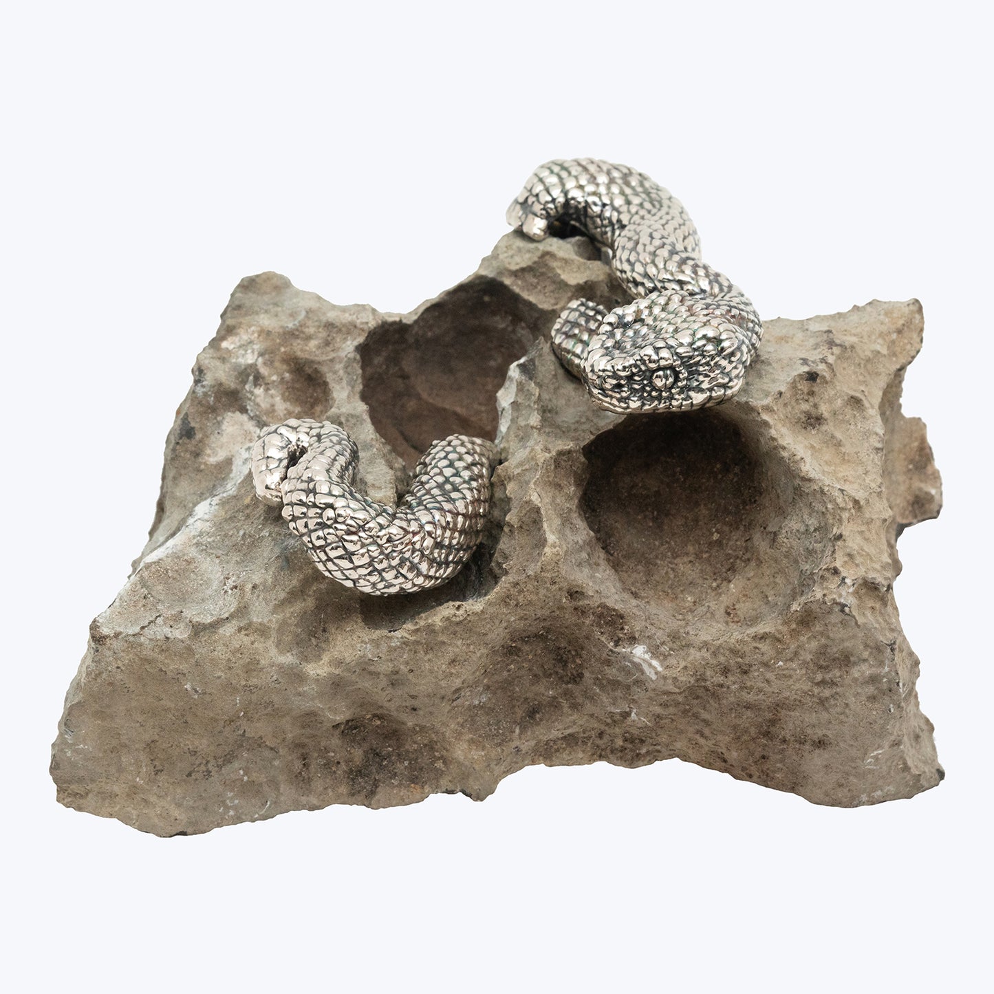 Spiritual Guangxi Stone with Silver Snake