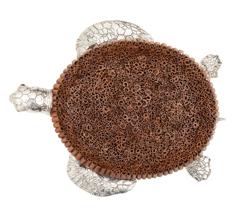 Sea Turtle Cinnamon Plate