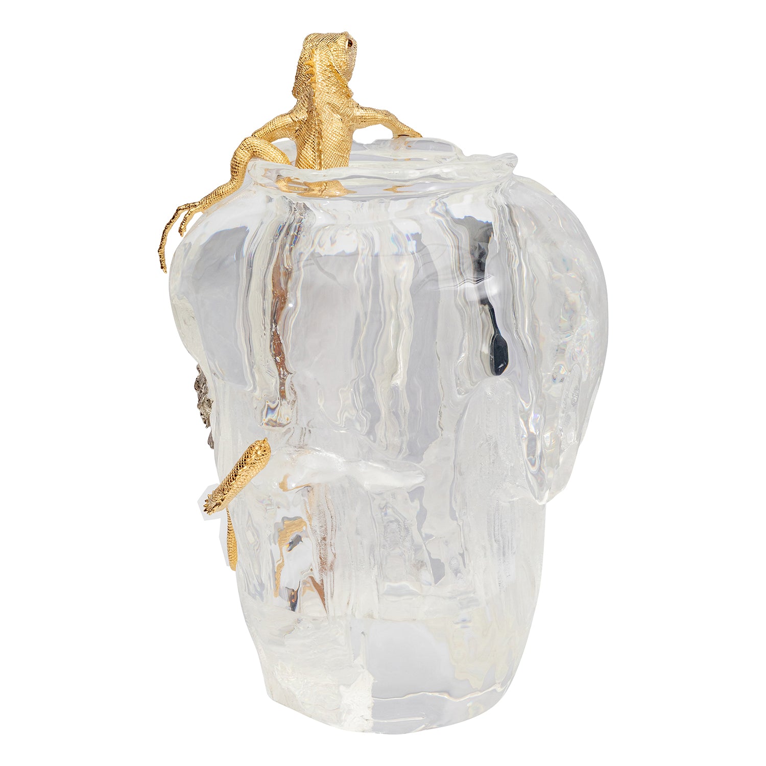 Morning Mist and Silver-Lit Vase with Iguana