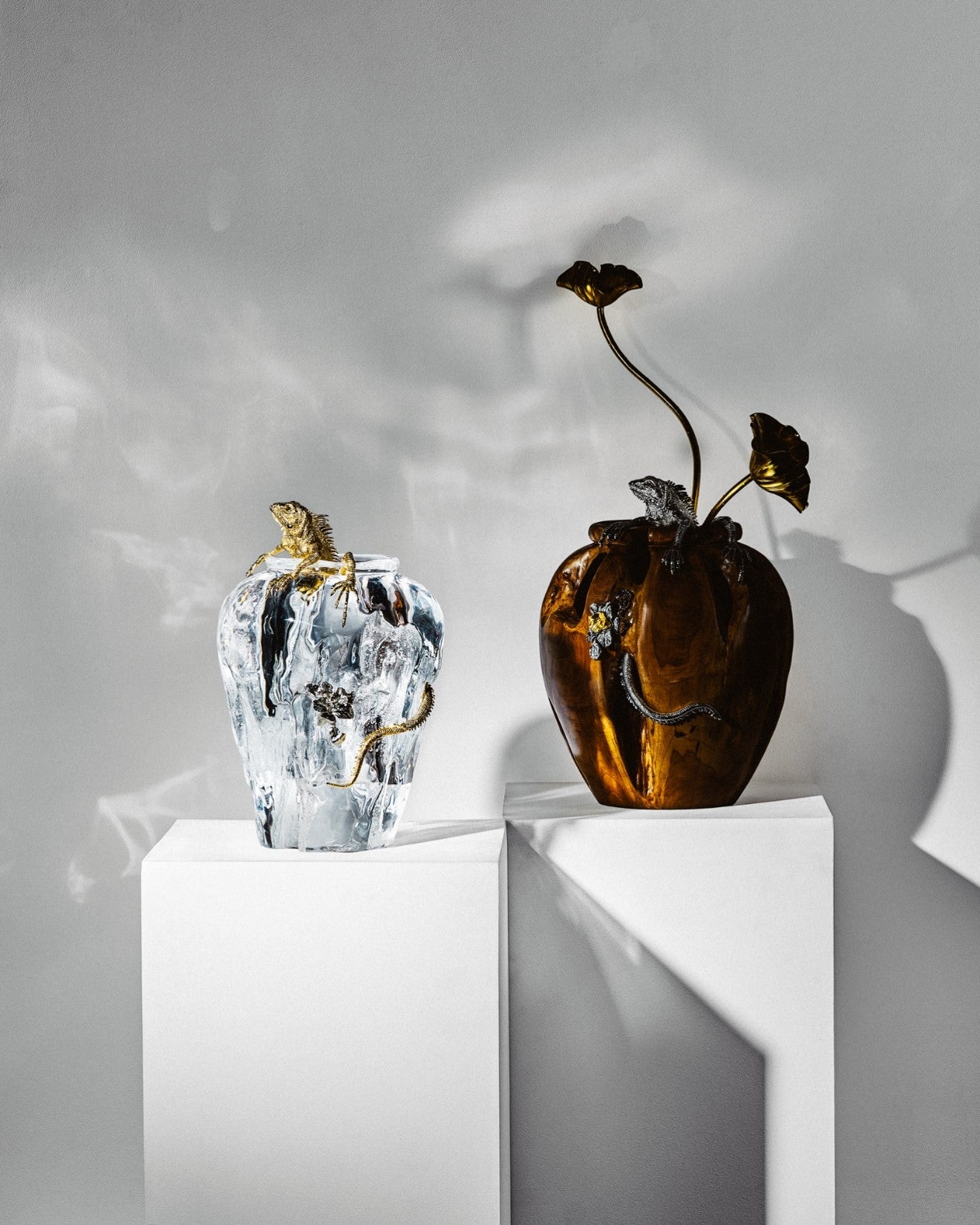Morning Mist and Silver-Lit Vase with Iguana