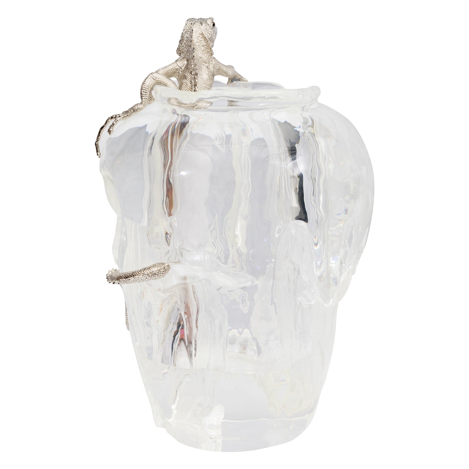 Morning Mist and Silver-Lit Vase with Iguana