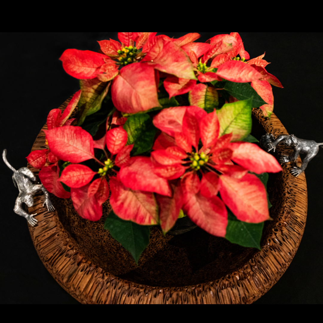 Cinnamon Bowl with Silver Monkeys