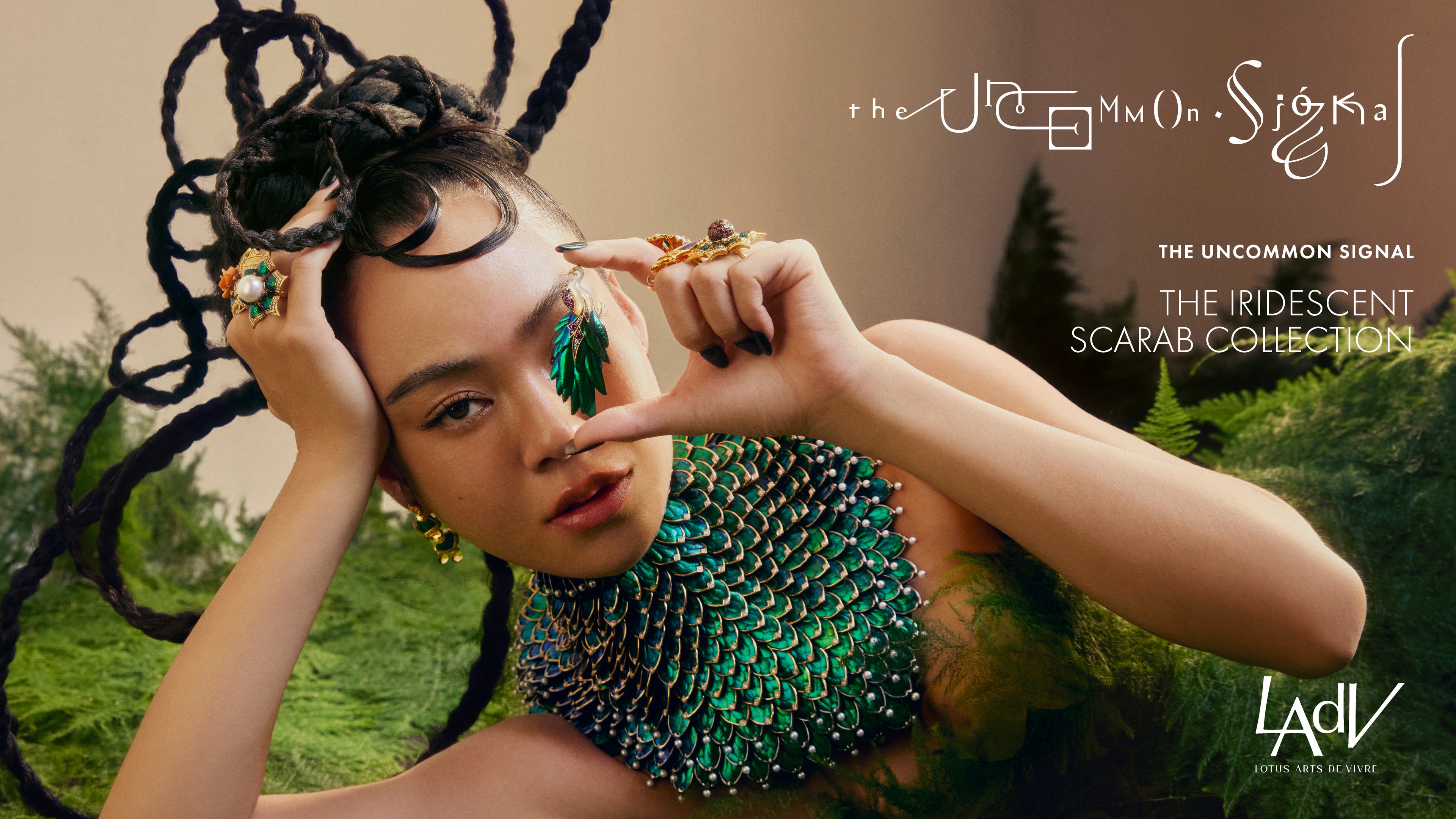 Load video: The Uncommon Signal